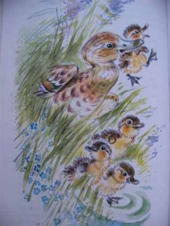 Пришвин Чарушин