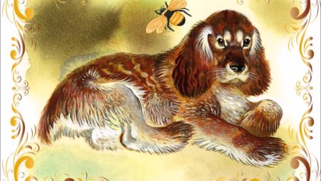 Чарушин е.и.иллюстратор