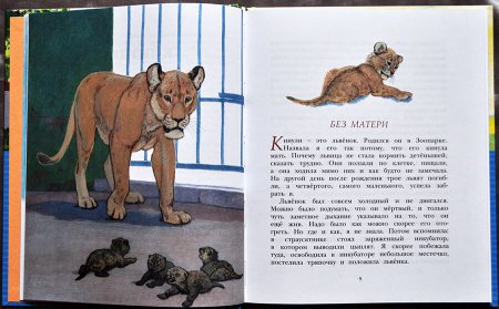 Вера Чаплина Лоська