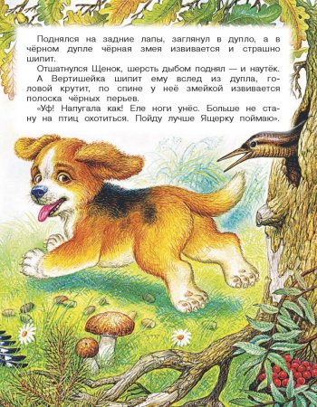 Сказка Виталия Бианки первая охота