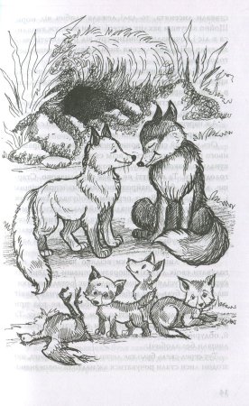 Сетон Томпсон Домино иллюстрации