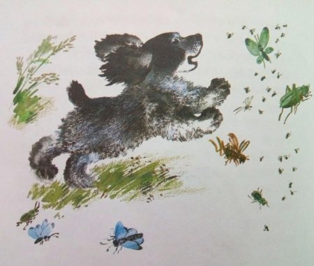 Евгений Чарушин Рябчонок