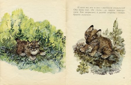 Иллюстрации Евгения Чарушина к детским книгам