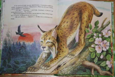 Иллюстрации к книгам о животных