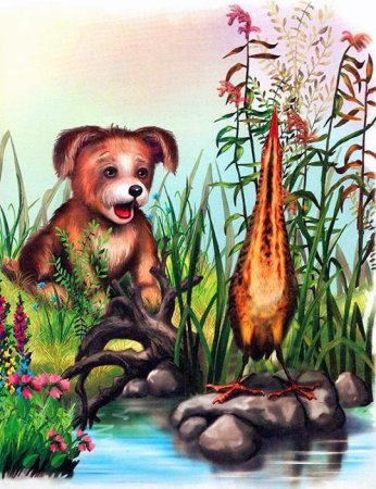 Первая охота Виталий Бианки