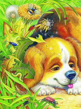 В. Бианки "первая охота"