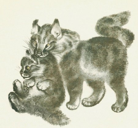 Чарушин Евгений Иванович иллюстрации