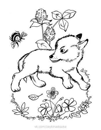 Раскраска к рассказу Томка Чарушин