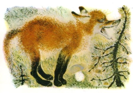 Чарушин Евгений Иванович иллюстрации