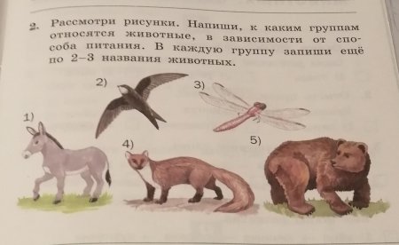 Запиши по два животных в каждую группу
