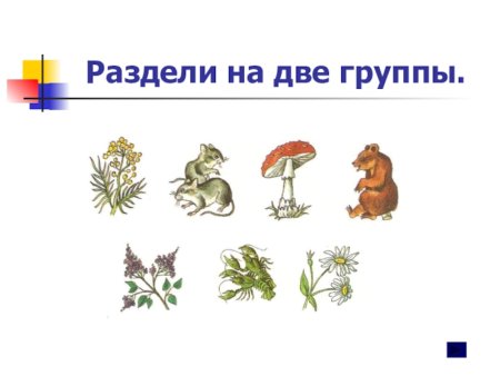 Разделить предметы на группы