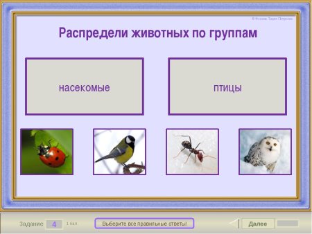 Классы животных