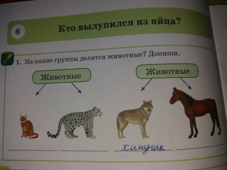 Животные птицы рыбы насекомые