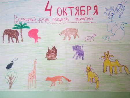 Плакат берегите животных
