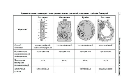 Строение грибной клетки 9 класс