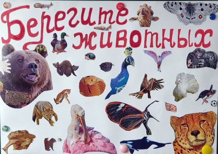 День защиты животных рисование
