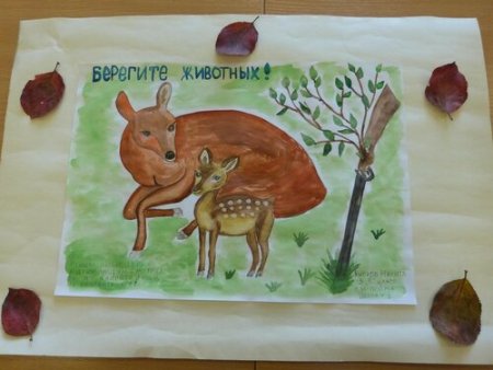 Плакат охрана животных