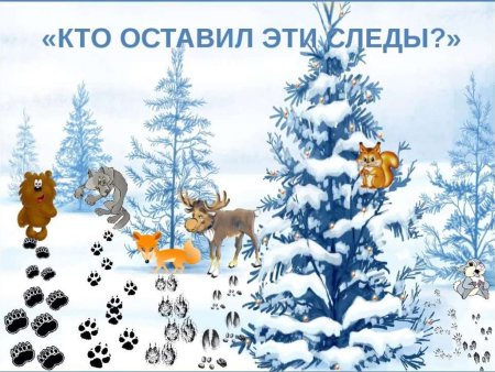 Животные зимой для детей