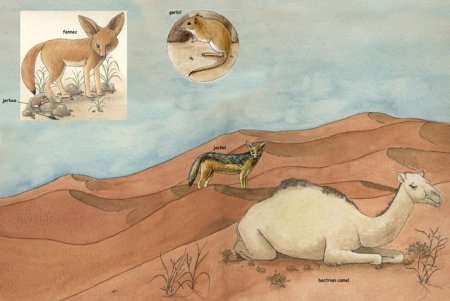 Обитатели пустыни для детей