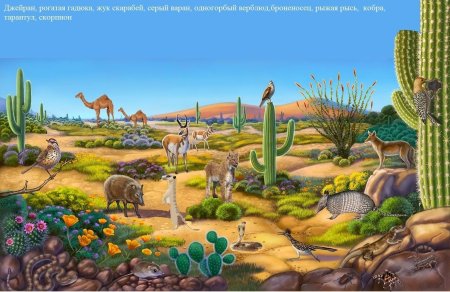 Обитатели пустыни для детей