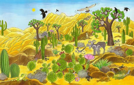 Биоценозы пустынь