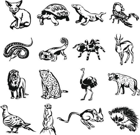 Символическое изображение животных