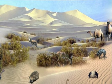 Зона пустынь и полупустынь в России