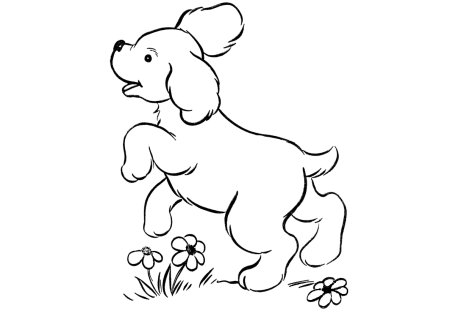 Собака раскраска для детей