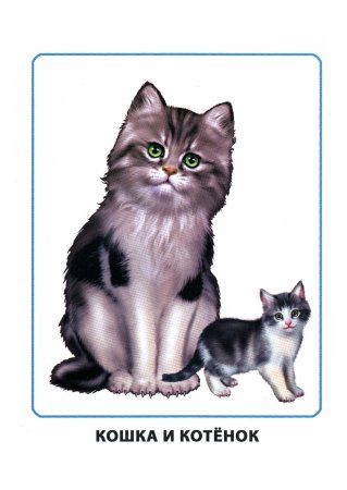 Домашние животные для детей