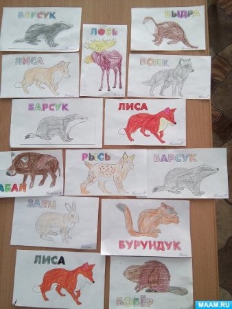 Рисование в старшей группе по теме животный мир