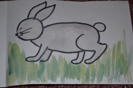 Рисование в старшей группе на тему домашние животные