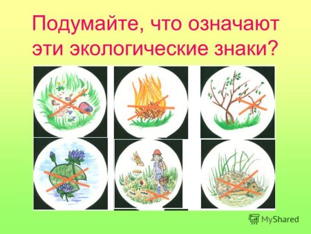 Плакат на тему сохранение природы