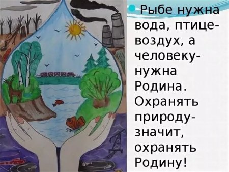 Плакат защита леса