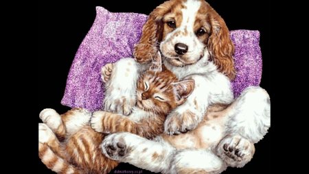 Кошка и собака иллюстрация