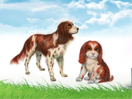 Домашние животные для детей собака