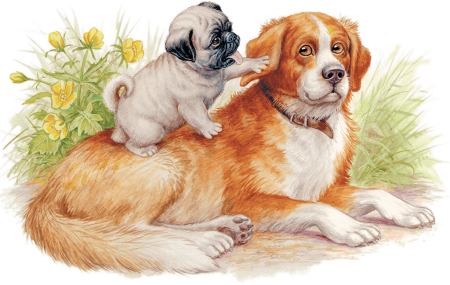 Ушинский Константин Дмитриевич играющие собаки