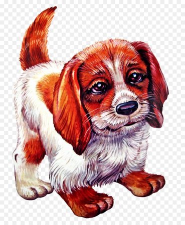 Домашние животные для детей