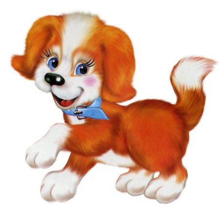 Мордочка хвост и четыре ноги Борис Заходер