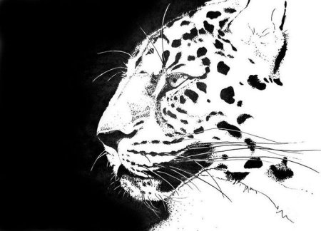 Ч Б рисунки