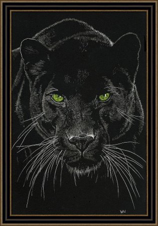 Пантера рисунок