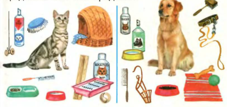 Предметы для ухода за животными