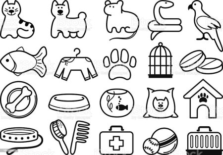 Предметы для ухода за животными нарисовать