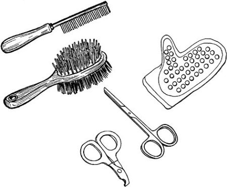 Предметы для ухода за животными