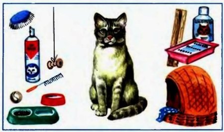 Предметы для ухаживания за кошками