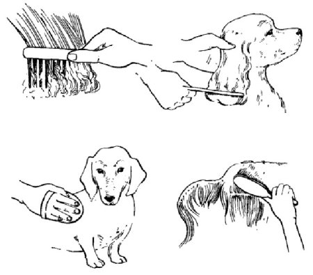 Предметы ухода за собакой