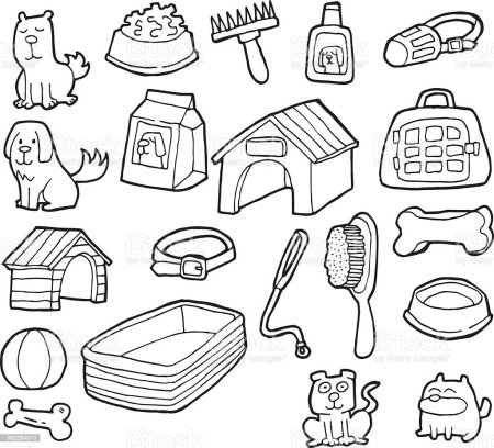 Ши тцу в ванной