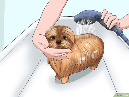 Раскраски на тему доброта