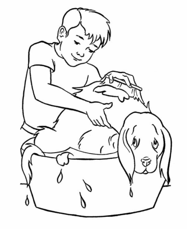 Кошачьи атрибуты