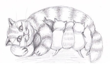 Кошка с котятами карандашом