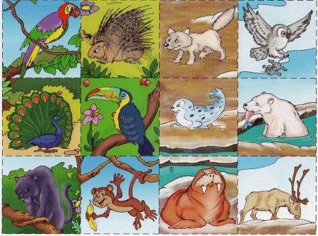 Дидактическое лото животные